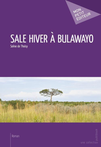 Thoisy_Soline_de-Sale_hiver_Bulawayo-9782748364675_0