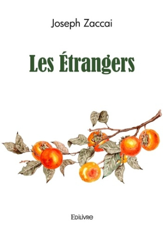 Zaccai_Joseph-Les_Etrangers-9782414599264_0