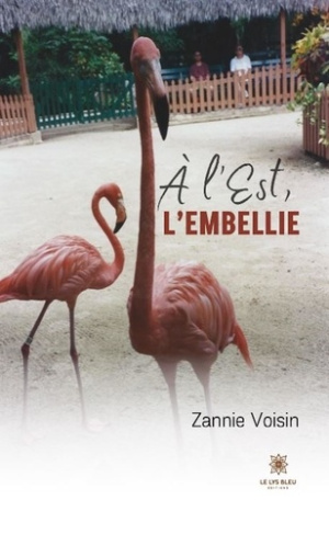 a-l-est-l-embellie_0