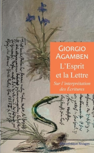 agamben-giorgio-texier-leo-l-esprit-et-la-lettre_0