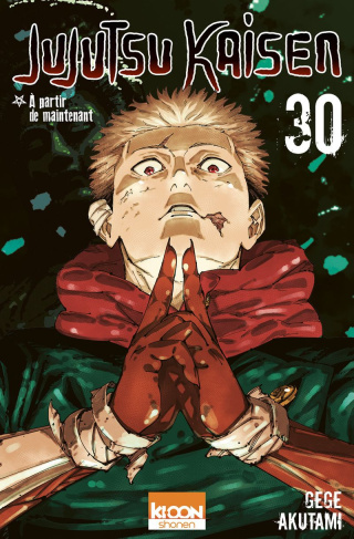 akutami-gege-jujutsu-kaisen-t30_0