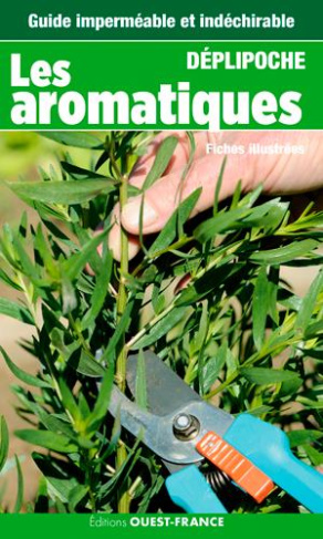 alamy-thomas-les-aromatiques_0