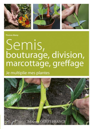 alamy-thomas-semis-bouturage-division-marcottage-greffage-je-multiplie-mes-plantes_0