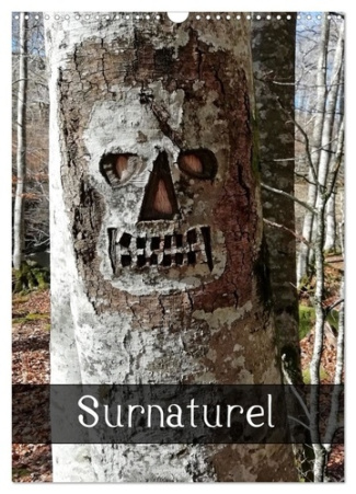 albuisson-aurelie-surnaturel-calendrier-mural-2026-din-a3-la-nature-surnaturelle_0