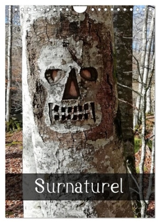 albuisson-aurelie-surnaturel-calendrier-mural-2026-din-a4-la-nature-surnaturelle_0