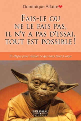 allaire-dominique-fais-le-ou-ne-le-fais-pas-il-n-y-a-pas-d-essai-tout-est-possible-13-etapes-pour-realiser-ce-qui_0