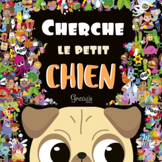 anderson-nicola-cherche-le-petit-chien-et-ses-amis_0