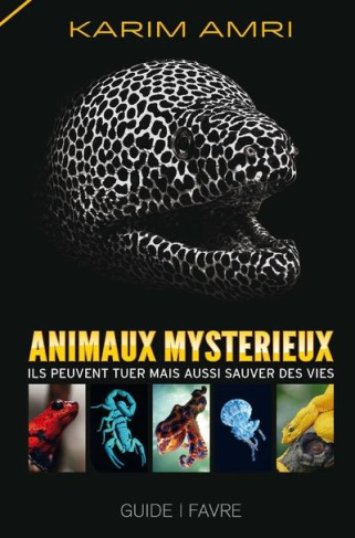 animaux-mysterieux_0