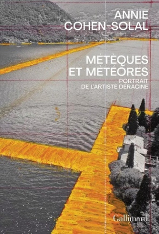 annie-cohen-solal-meteques-et-meteores-l-artiste-deplace_0