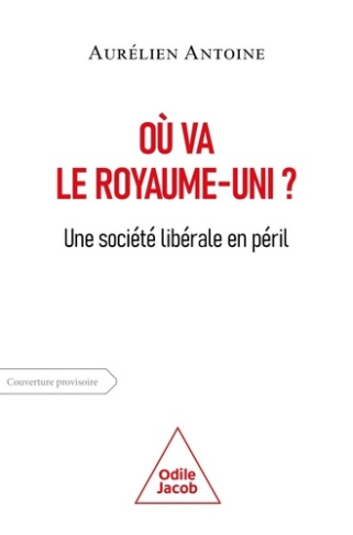 antoine-aurelien-ou-va-l-angleterre-une-societe-liberale-en-crise_0