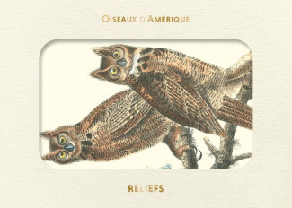 audubon-jean-jacques-livre-d-images-oiseaux-d-amerique_0