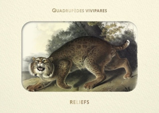 audubon-john-james-livre-d-images-quadrupedes-vivipares-d-amerique_0