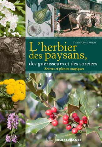 auray-christophe-l-herbier-des-paysans-des-guerisseurs-et-des-sorciers-secrets-et-plantes-magiques_0