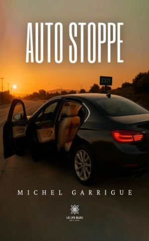 auto-stoppe_0