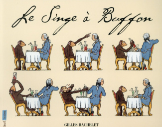 Le singe à Buffon