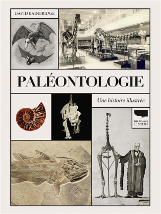 bainbridge-david-paleontologie-une-histoire-illustree_0