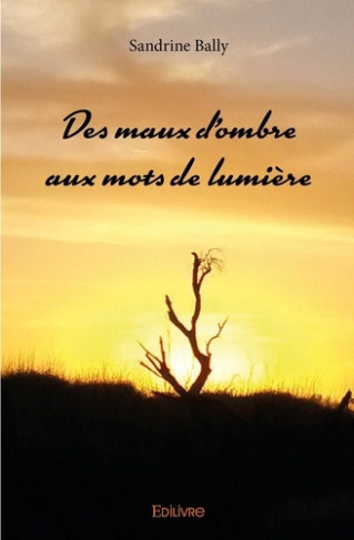 bally-sandrine-des-maux-d-ombre-aux-mots-de-lumiere_0