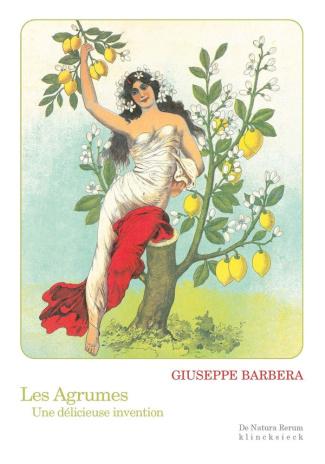 barbera-giuseppe-les-agrumes-une-delicieuse-invention_0