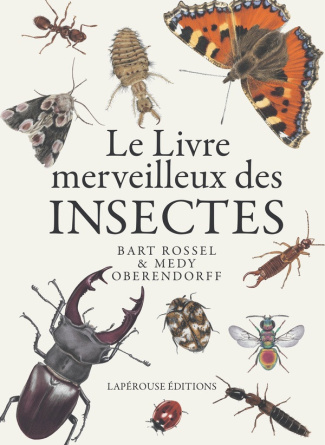 bart-rossel-le-livre-merveilleux-des-insectes_0