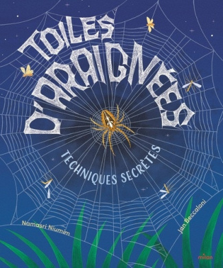 beccaloni-niumim-toiles-d-araignees-techniques-secretes_0