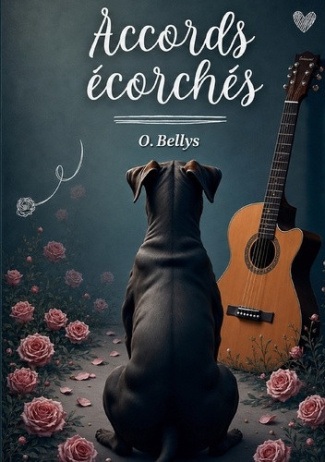 bellys-o-accords-ecorches_0