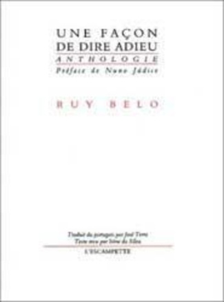 belo-ruy-une-facon-de-dire-adieu_0