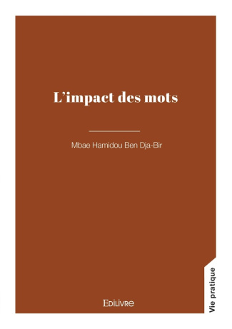 ben-dja-bir-mbae-hamidou-l-impact-des-mots_0