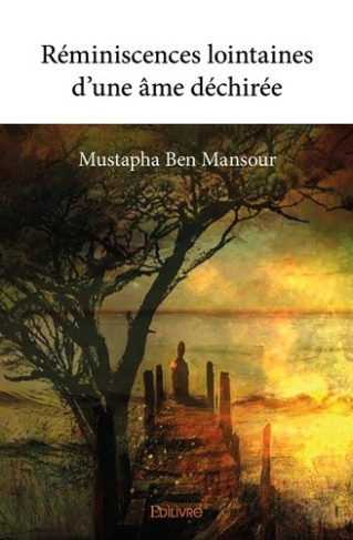 ben-mansour-mustapha-reminiscences-lointaines-d-une-ame-dechiree_0