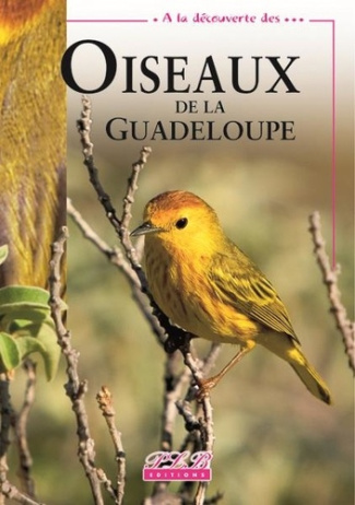 benito-espinal-edouard-3b-hautcastel-patricia-oiseaux-de-la-guadeloupe_0