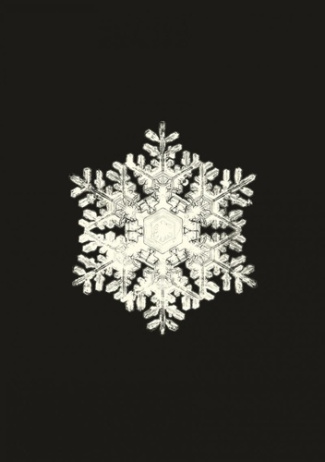 bentley-wilson-alwyn-carnet-flocons-de-neige_0