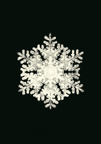 Carnet - Flocons de neige