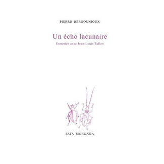 bergounioux-pierre-3b-tallon-jean-louis-un-echo-lacunaire_0