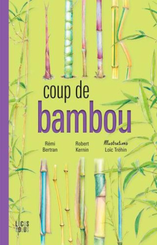 bertran-remi-3b-kernin-robert-3b-trehin-loic-coup-de-bambou_0