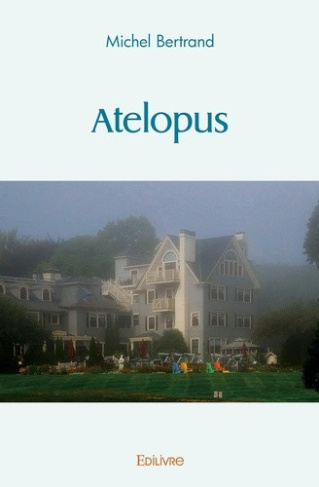 bertrand-michel-atelopus_0