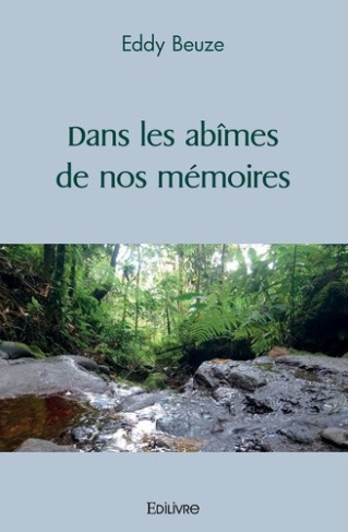 beuze-eddy-dans-les-abimes-de-nos-memoires_0