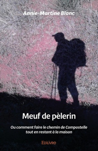 blanc-annie-martine-meuf-de-pelerin-ou-comment-faire-le-chemin-de-compostelle-tout-en-restant-a-la-maison_0