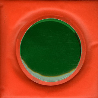 blexbolex-mon-ami-rond-livre-bain_0