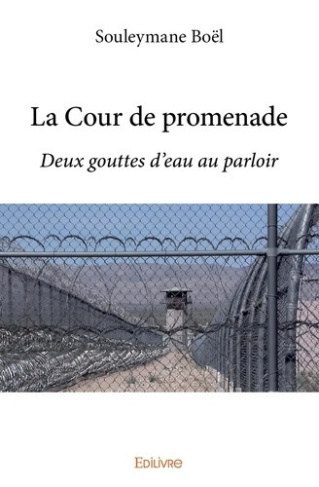 boel-souleyman-la-cour-de-promenade-deux-gouttes-d-eau-au-parloir_0