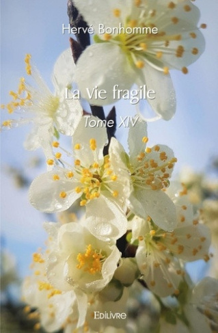 bonhomme-herve-la-vie-fragile-tome-xiv_0