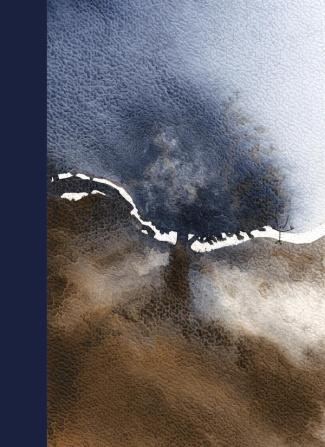 boudon-brigitte-3b-guitton-philippe-l-arbre_0