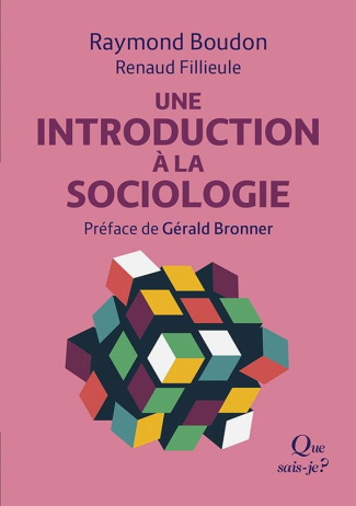 boudon-raymond-fillieule-renaud-bronner-gerald-sociologie-et-rationalite_0