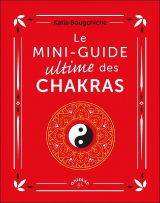 bougchiche-katia-le-mini-guide-ultime-des-chakras_0