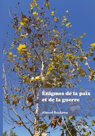 boutamo-ahmed-enigmes-de-la-paix-et-de-la-guerre-le-cas-de-l-afghanistan-entre-conflits-et-espoirs-de-paix_0