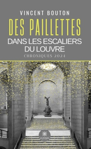 bouton-vincent-des-paillettes-dans-les-escaliers-du-louvre-chroniques-2024_0