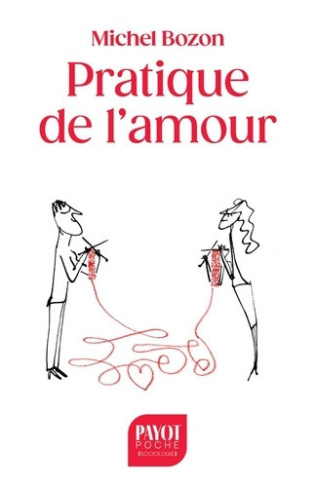 bozon-michel-pratique-de-l-amour-le-plaisir-et-l-inquietude_0