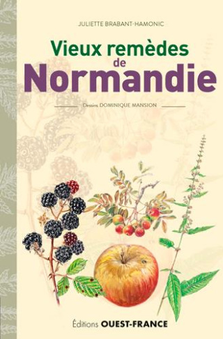 brabant-hamonic-juliette-3b-mansion-dominique-vieux-remedes-de-normandie_0