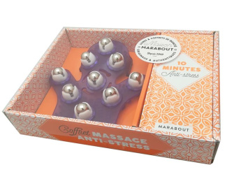 brealey-erica-coffret-massage-anti-stress-contient-1-livre-et-1-gant-de-massage-a-billes_0