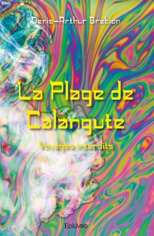 brebion-denis-arthur-la-plage-de-calangute-voyages-interdits_0