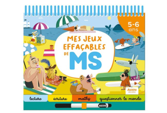 brien-mouk-mercier-mes-jeux-effacables-de-ms_0