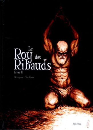 brugeas-vincent-3b-toulhoat-ronan-3b-corgie-johann-le-roy-des-ribauds-tome-2_0